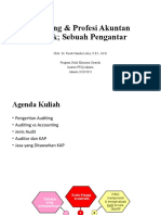 Auditing & Profesi Akuntan Publik