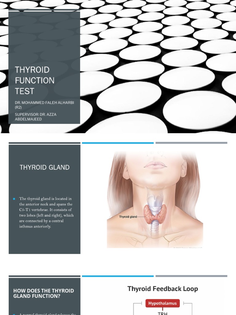 Thyroid Function Test Pdf Thyroid Stimulating Hormone Thyroid