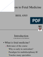 Introduction To Fetal Medicine: BIOL 6505