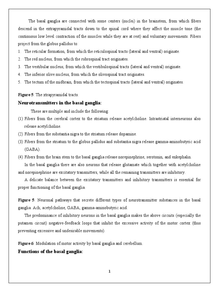 The Connections and Functions of the Basal Ganglia Controlling Muscle