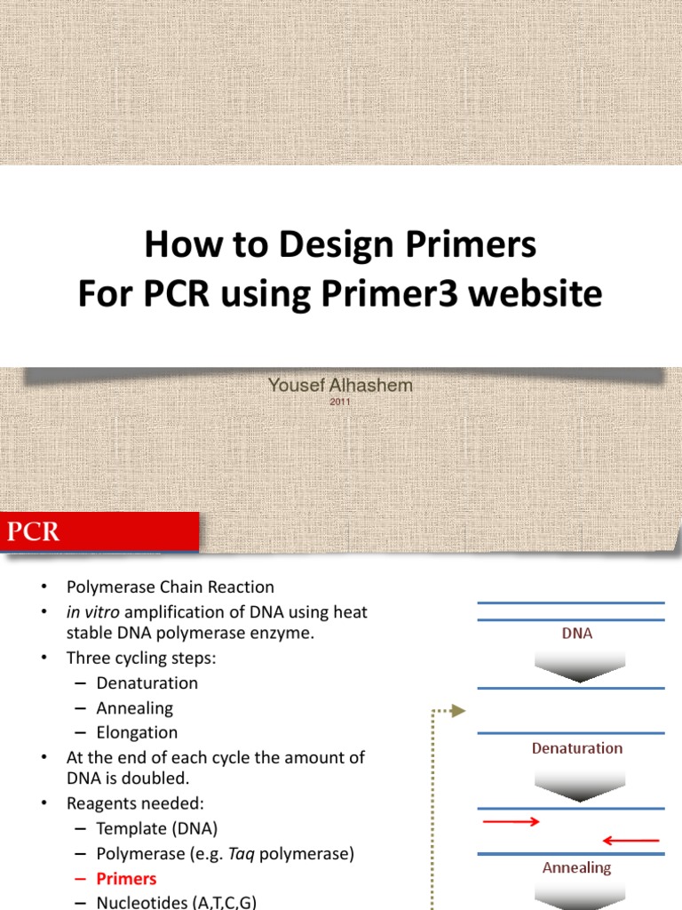 How To Design Primers For PCR Using Primer3 site Yousef Alhashem