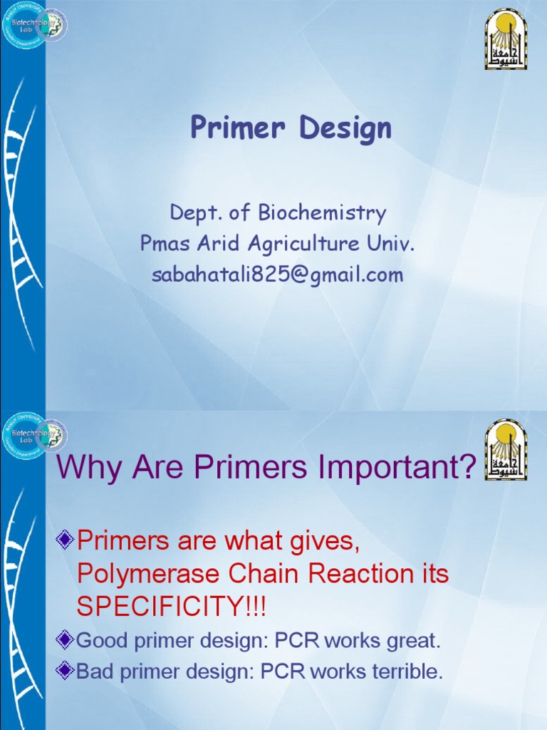 Primer Design Dept. of Biochemistry Pmas Arid Agriculture Univ PDF