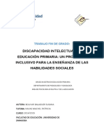 Discapacidad Intelectual en Educación Primaria: Un Programa Inclusivo para La Enseñanza de Las Habilidades Sociales