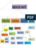 Ciorchine. Medii de Viață. Anexa 2