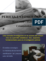 Pericia Entomologica: Kevin Sosa Caballero Criminalística