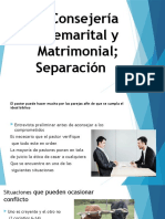 Consejería prematrimonial y matrimonial; separación y divorcio