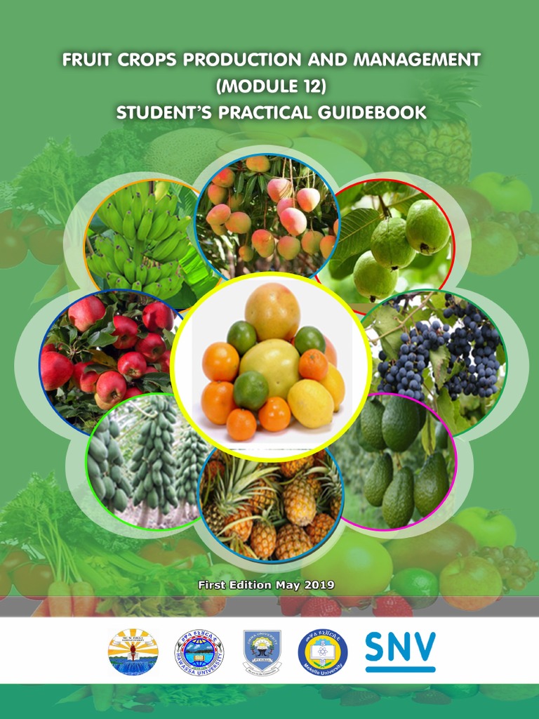 Fruit Crops Management Guide for Students | PDF | Grafting | Seed