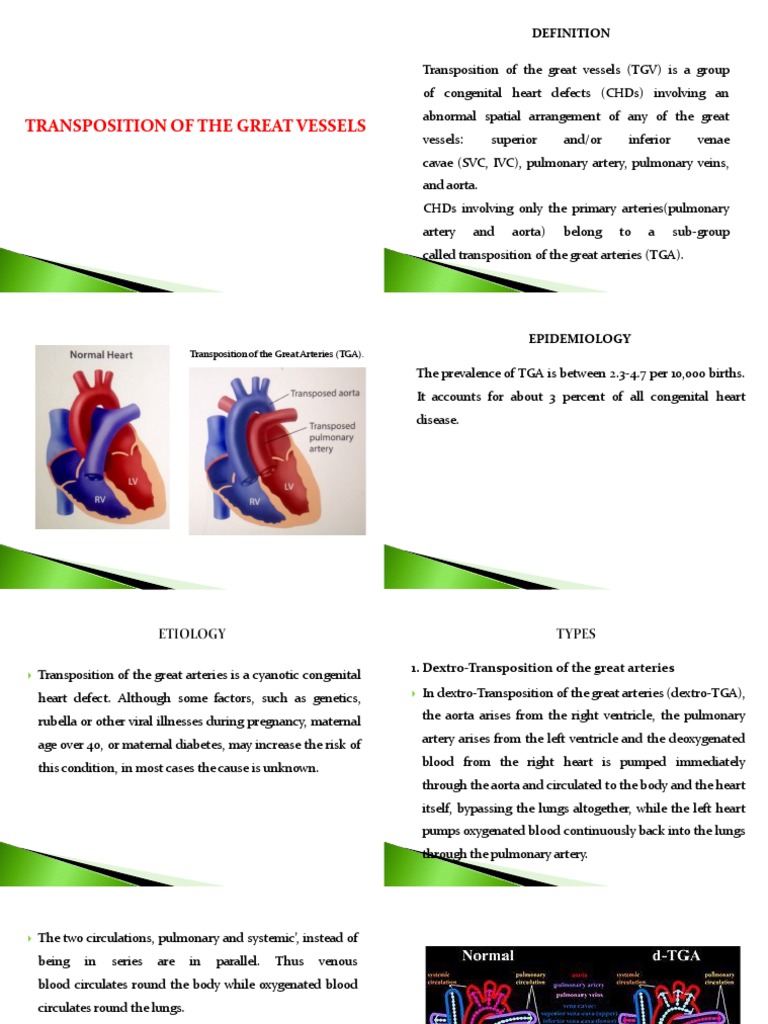 Transposition of the Great Arteries Overview | PDF | Congenital Heart ...