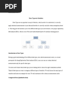 Nurjalia Kairoty (2018-147) - Data Types in Statistics