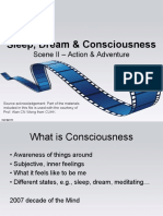 Sleep, Dream & Consciousness: Scene II - Action & Adventure