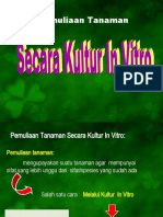 Pemuliaan Tanaman Secara in Vitro