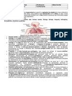 Principais órgãos e doenças do sistema respiratório