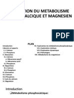 EXPLORATION DU METABOLISME PHOSOPHCALCIQUE ET MAGNESIEN - pdf1