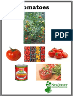 F2S Tomatoes