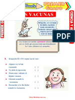 Las-Vacunas-para-Primer-Grado-de-Primaria