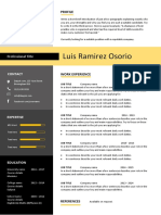 Luis Ramirez Osorio: Professional Title