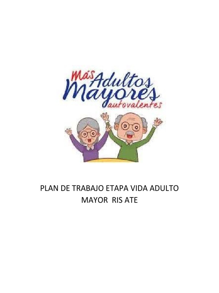 Plan de Trabajo para Adultos Mayores | PDF | Vejez | Promoción de la salud