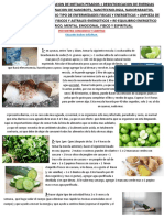 Protocolo de Desintoxicacion de Metales Pesados