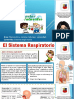 Sistema Respiratorio