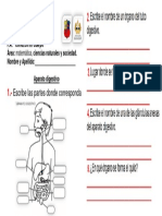 Evaluación Aparato Digestivo