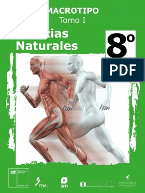 Articles-207436 Recurso PDF 8, PDF, Digestión