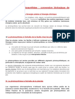 Scribd Texte 3