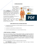 Sistema Endocrino