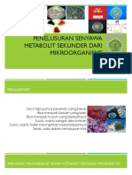 Presentation Penelusuran Senyawa Metabolit Sekunder Dari Mikroorganisme