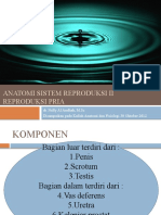 Anfis Sistem Reproduksi II (PRIA)