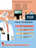 Fisiologi Reproduksi Pria