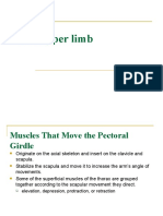 Muscles and Arteries of the Upper Limb