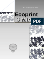 Ecoprint: 3 Mirror