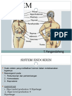 3-4 Sistem Endokrin