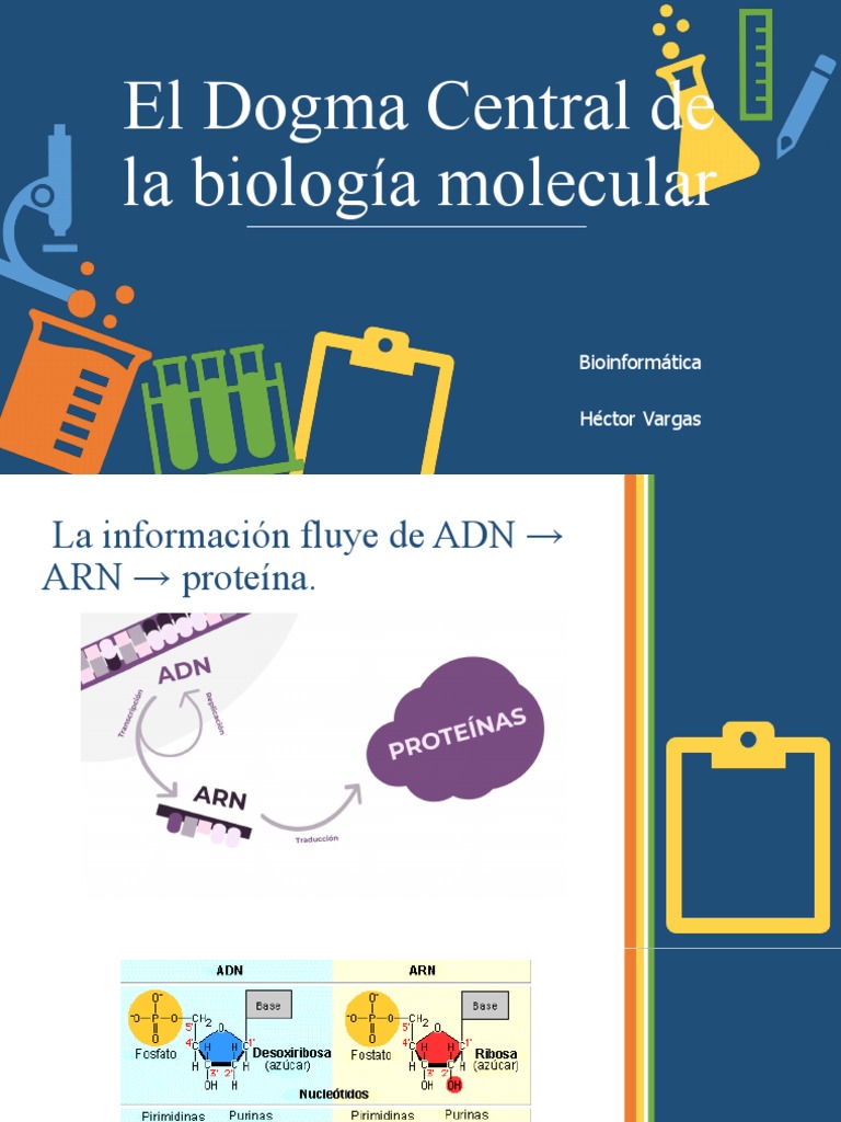 El Dogma Central de La Biología Molecular PDF Rna Polimorfismo de nucleótido simple