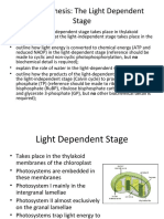 Photosynthesis: The Light Dependent Stage