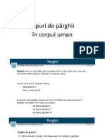 Tipuri de Pârghii