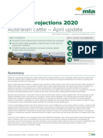 Industry Projections 2020: Australian Cattle - April Update