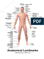 The Organ Systems