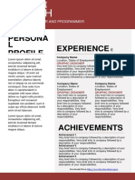 Persona L Profile Experience: Graphic Designer and Programmer