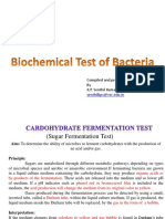biochemical test of bacteria
