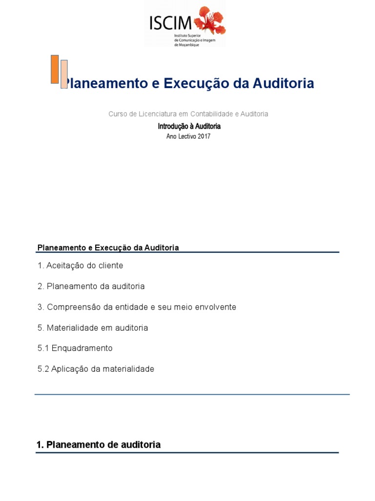 Planejamento da Auditoria Interna | PDF | Planejamento | Contabilidade