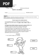 Guía N°3 Los Sentidos Ciencias Naturales Primero Básico