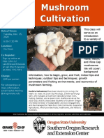 Ce Fliermushroom Cultivation 20201215 - 0