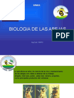 Biologia de Las Abejas17