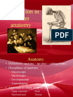 human-anatomy101-110102005526-phpapp01