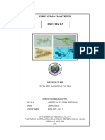 Laprak Protista Cilliata Bebas - Anfielda Salsha 2