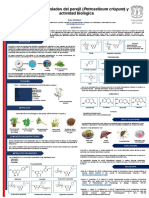 Compuestos Bioactivos Del Perejil