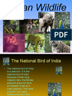 Wade_-_Indian_Wildlife