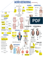 Evaluación Gestacional