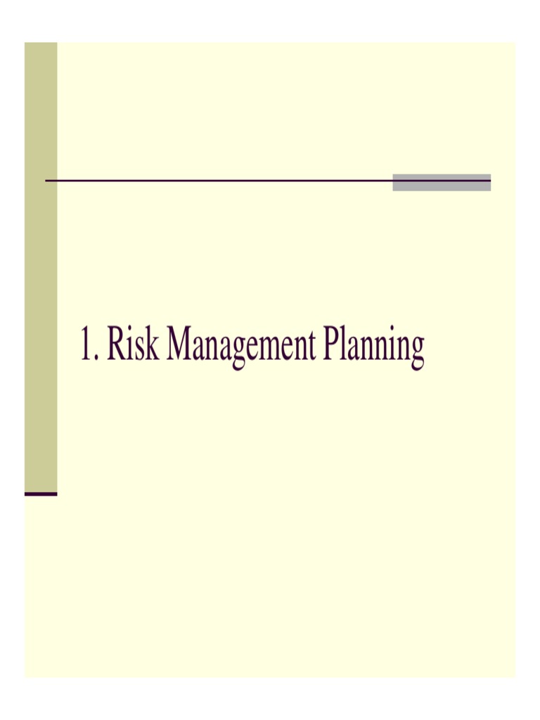L02 Risk Management Planning | PDF | Risk Management | Risk